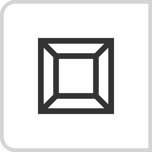 2D View